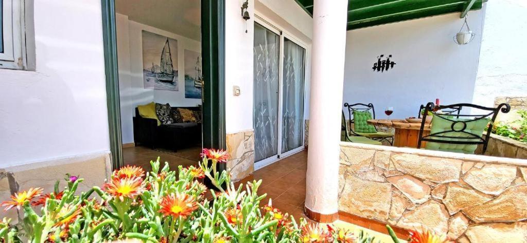 Dos Gatos Fuertaventura Villa Caleta De Fuste Eksteriør billede