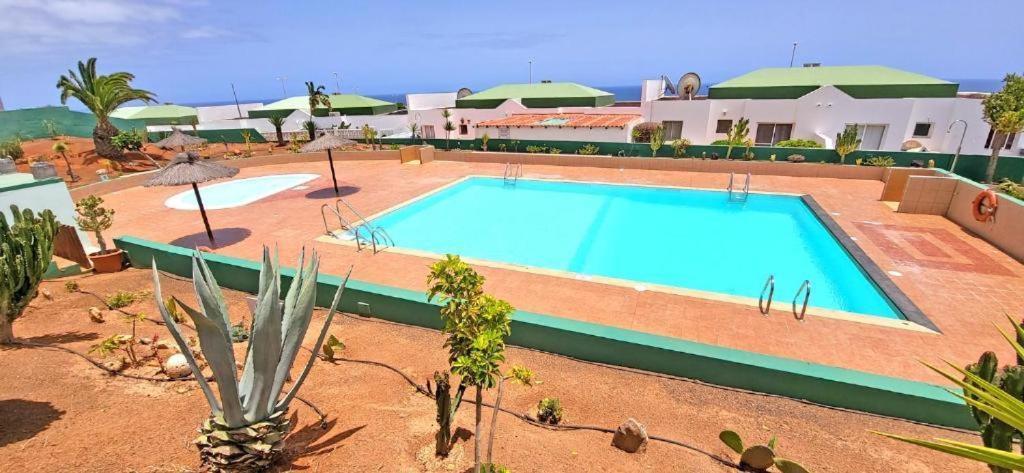 Dos Gatos Fuertaventura Villa Caleta De Fuste Eksteriør billede